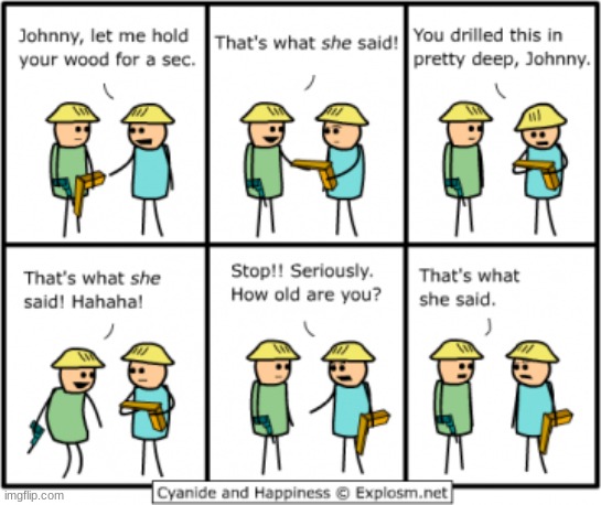 THAT'S WHAT SHE SAID | image tagged in comics/cartoons | made w/ Imgflip meme maker