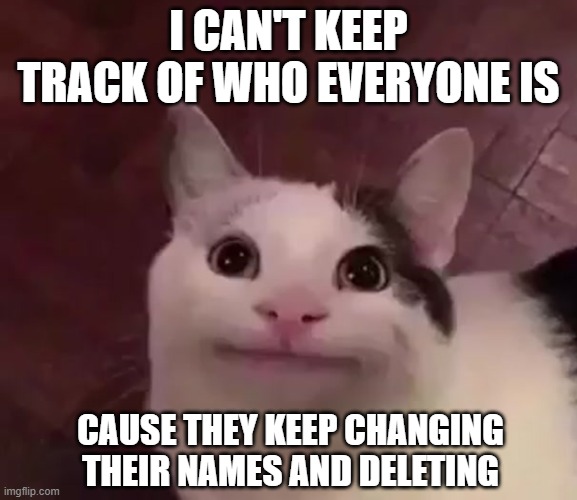 -_- | I CAN'T KEEP TRACK OF WHO EVERYONE IS; CAUSE THEY KEEP CHANGING THEIR NAMES AND DELETING | image tagged in awkward cat | made w/ Imgflip meme maker