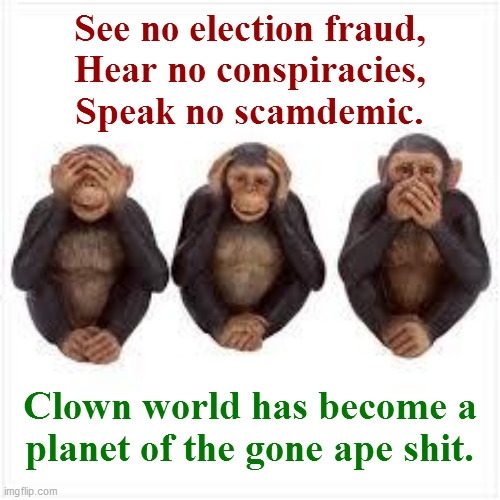 See no, Hear no, Speak no... |  See no election fraud,
Hear no conspiracies,
Speak no scamdemic. Clown world has become a
planet of the gone ape shit. | image tagged in see no evil hear no evil speak no evil,election fraud,conspiracy,scamdemic,clown world,planet of the apes | made w/ Imgflip meme maker
