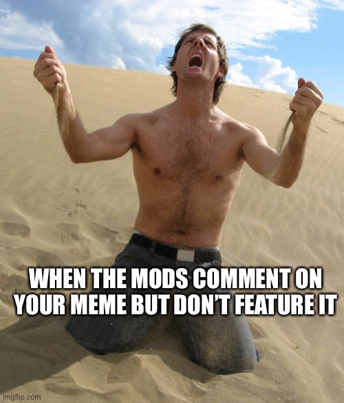 NOOOOOOO!!!!! | WHEN THE MODS COMMENT ON YOUR MEME BUT DON’T FEATURE IT | image tagged in nooooooo | made w/ Imgflip meme maker