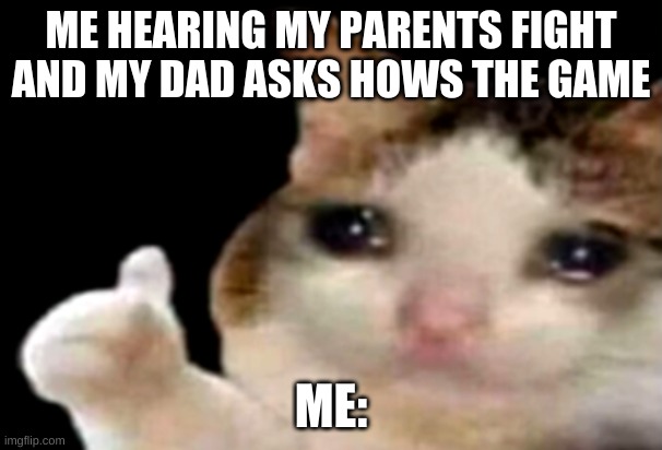 Sad cat thumbs up | ME HEARING MY PARENTS FIGHT AND MY DAD ASKS HOWS THE GAME; ME: | image tagged in sad cat thumbs up | made w/ Imgflip meme maker