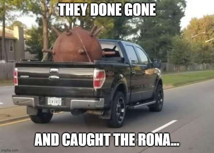 The Rona | THEY DONE GONE; AND CAUGHT THE RONA... | image tagged in covid-19 | made w/ Imgflip meme maker
