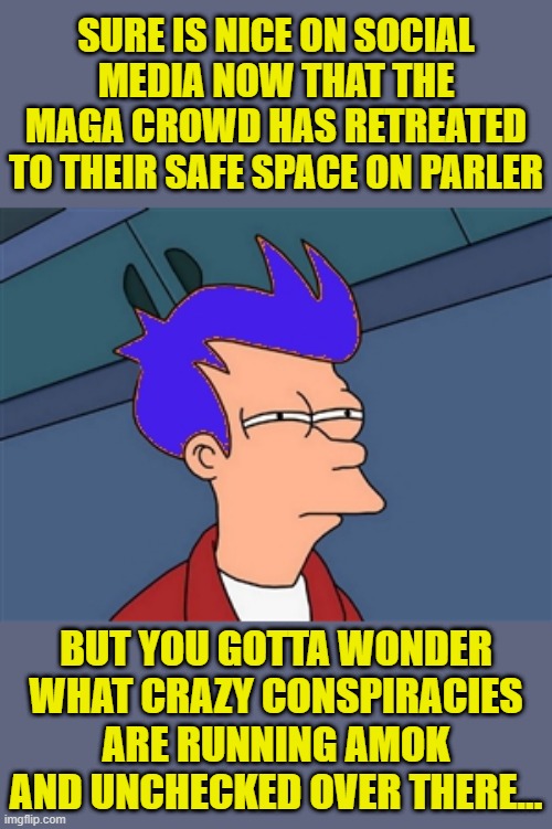 They were willing to tout conspiracies as legal premise - imagine what passes for reality over there. | SURE IS NICE ON SOCIAL MEDIA NOW THAT THE MAGA CROWD HAS RETREATED TO THEIR SAFE SPACE ON PARLER; BUT YOU GOTTA WONDER WHAT CRAZY CONSPIRACIES ARE RUNNING AMOK AND UNCHECKED OVER THERE... | image tagged in memes,blue futurama fry,politics | made w/ Imgflip meme maker