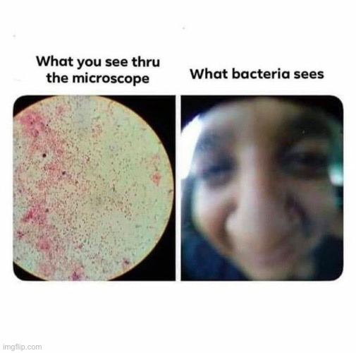 Poor bacteria | image tagged in memes,front page,bacteria,funny | made w/ Imgflip meme maker