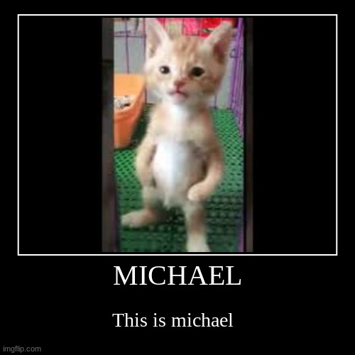 Michael. | image tagged in funny,demotivationals,fun,cat | made w/ Imgflip demotivational maker