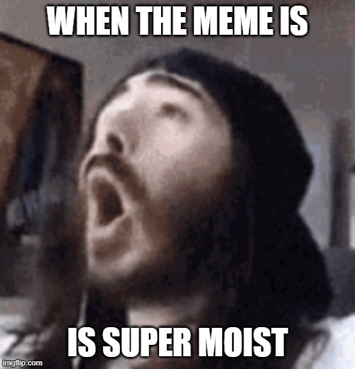 poggers | WHEN THE MEME IS; IS SUPER MOIST | image tagged in critikal pog | made w/ Imgflip meme maker