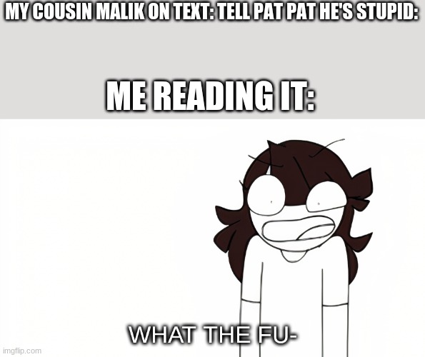 Jaiden Animations What the Fu- | MY COUSIN MALIK ON TEXT: TELL PAT PAT HE'S STUPID:; ME READING IT: | image tagged in jaiden animations what the fu- | made w/ Imgflip meme maker
