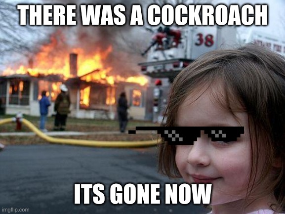 Disaster Girl | THERE WAS A COCKROACH; ITS GONE NOW | image tagged in memes,disaster girl | made w/ Imgflip meme maker