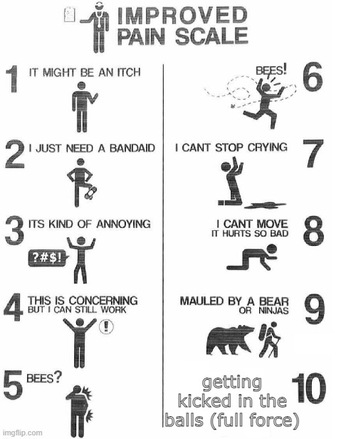 Improved Pain Scale | getting kicked in the balls (full force) | image tagged in improved pain scale | made w/ Imgflip meme maker