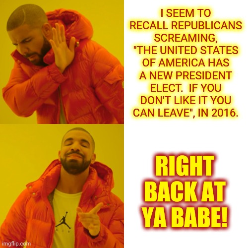 Goose And Gander | I SEEM TO RECALL REPUBLICANS SCREAMING, "THE UNITED STATES OF AMERICA HAS A NEW PRESIDENT ELECT.  IF YOU DON'T LIKE IT YOU CAN LEAVE", IN 2016. RIGHT BACK AT YA BABE! | image tagged in memes,drake hotline bling,karma's a bitch,rofl,another one bites the dust,what goes around comes around | made w/ Imgflip meme maker