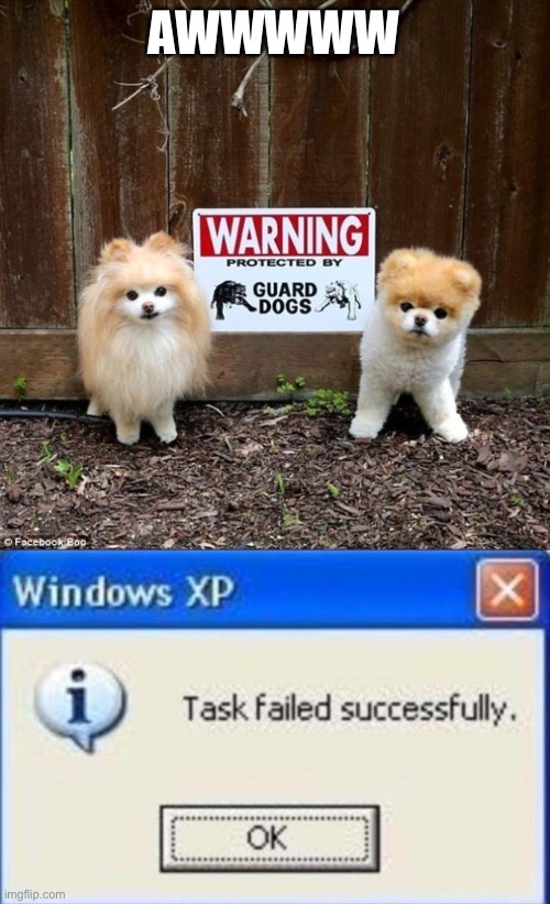 LOL | AWWWWW | image tagged in task failed successfully,memes,funny,dogs,animals,guard | made w/ Imgflip meme maker