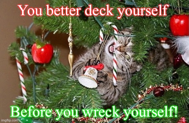 Deck yourself | You better deck yourself; Before you wreck yourself! | image tagged in cat,christmas,tree,decorations | made w/ Imgflip meme maker