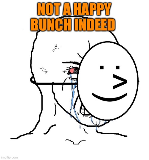 Pretending To Be Happy, Hiding Crying Behind A Mask | NOT A HAPPY BUNCH INDEED | image tagged in pretending to be happy hiding crying behind a mask | made w/ Imgflip meme maker
