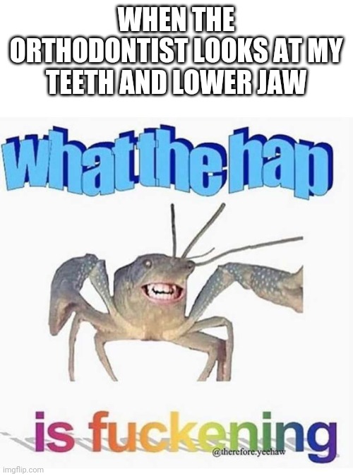 What the hap is fuckening | WHEN THE ORTHODONTIST LOOKS AT MY TEETH AND LOWER JAW | image tagged in what the hap is fuckening,memes | made w/ Imgflip meme maker