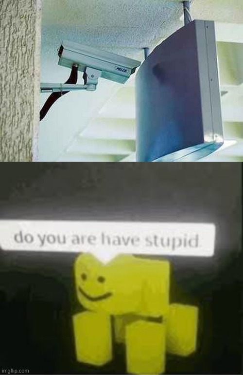 image tagged in do you are have stupid | made w/ Imgflip meme maker