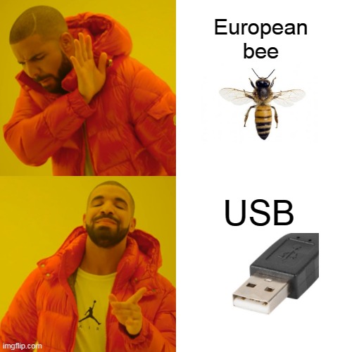 Bees | European bee; USB | image tagged in memes,drake hotline bling | made w/ Imgflip meme maker