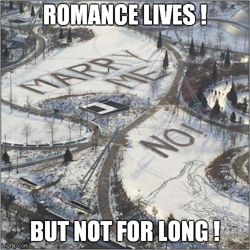 Popping The Question ? |  ROMANCE LIVES ! BUT NOT FOR LONG ! | image tagged in romance,marry,how about no | made w/ Imgflip meme maker