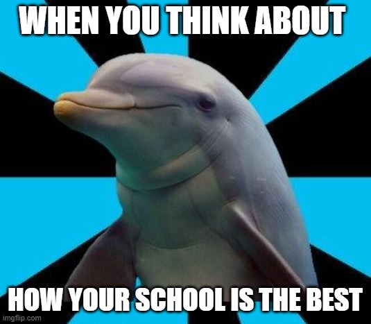Dolphin | WHEN YOU THINK ABOUT; HOW YOUR SCHOOL IS THE BEST | image tagged in dolphin | made w/ Imgflip meme maker