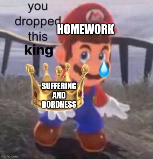 I hate it | HOMEWORK; SUFFERING AND BORDNESS | image tagged in mario you dropped this king | made w/ Imgflip meme maker