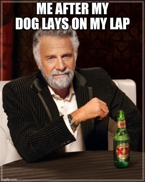 e | ME AFTER MY DOG LAYS ON MY LAP | image tagged in memes,the most interesting man in the world | made w/ Imgflip meme maker