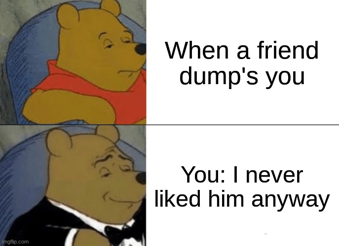 Tuxedo Winnie The Pooh Meme | When a friend dump's you; You: I never liked him anyway | image tagged in memes,tuxedo winnie the pooh | made w/ Imgflip meme maker