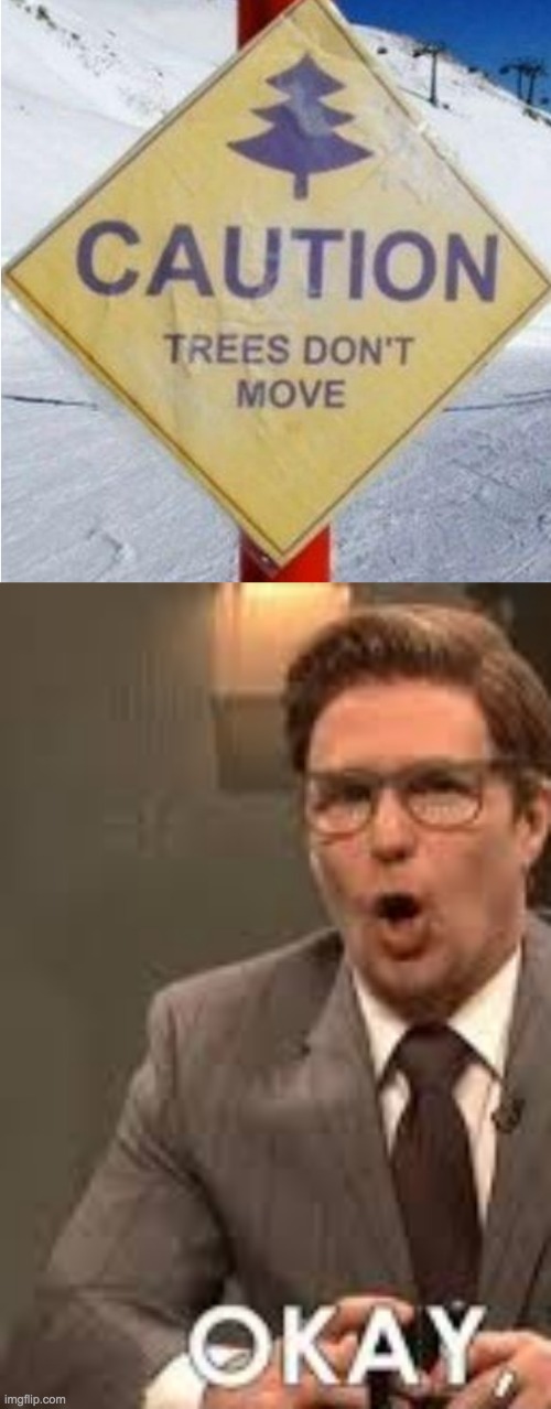Ok | image tagged in okay that backfired | made w/ Imgflip meme maker