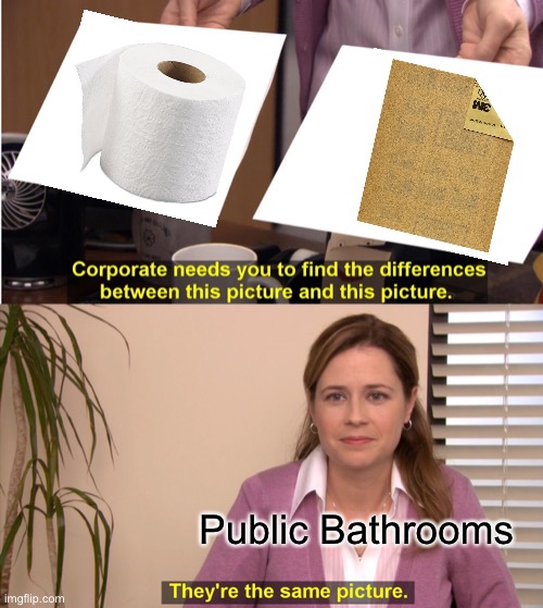 Seriously someone needs to do something about this! | Public Bathrooms | image tagged in memes,they're the same picture | made w/ Imgflip meme maker