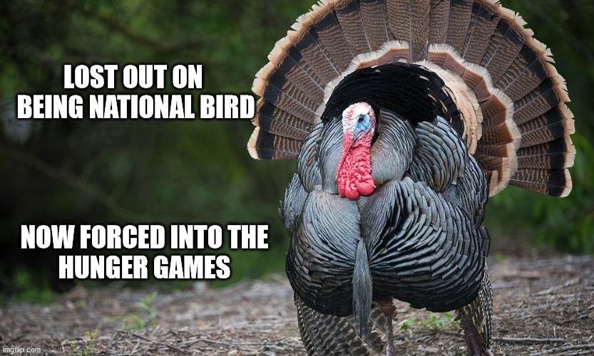 Tom Turkey | LOST OUT ON 
BEING NATIONAL BIRD; NOW FORCED INTO THE
HUNGER GAMES | image tagged in tom turkey | made w/ Imgflip meme maker