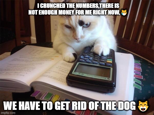 Math cat |  I CRUNCHED THE NUMBERS,THERE IS NOT ENOUGH MONEY FOR ME RIGHT NOW,😿; WE HAVE TO GET RID OF THE DOG😸 | image tagged in math cat | made w/ Imgflip meme maker