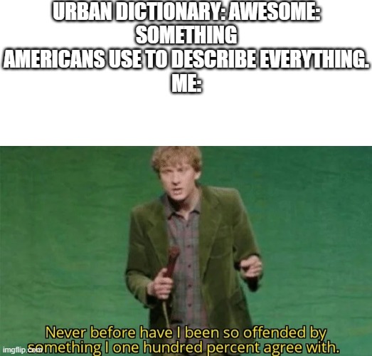 URBAN DICTIONARY: AWESOME:
SOMETHING AMERICANS USE TO DESCRIBE EVERYTHING.
ME: | image tagged in blank white template,never have i been so offended | made w/ Imgflip meme maker