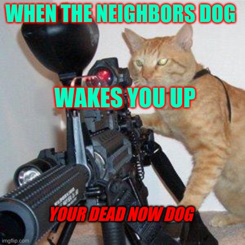 Dead dog? | WHEN THE NEIGHBORS DOG; WAKES YOU UP; YOUR DEAD NOW DOG | image tagged in cat with gun | made w/ Imgflip meme maker
