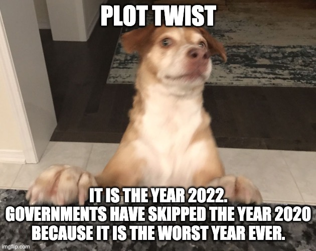 Plot twist | PLOT TWIST IT IS THE YEAR 2022. GOVERNMENTS HAVE SKIPPED THE YEAR 2020 BECAUSE IT IS THE WORST YEAR EVER. | image tagged in plot twist | made w/ Imgflip meme maker