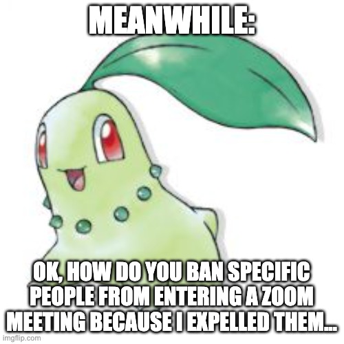 Chikorita | MEANWHILE: OK, HOW DO YOU BAN SPECIFIC PEOPLE FROM ENTERING A ZOOM MEETING BECAUSE I EXPELLED THEM... | image tagged in chikorita | made w/ Imgflip meme maker