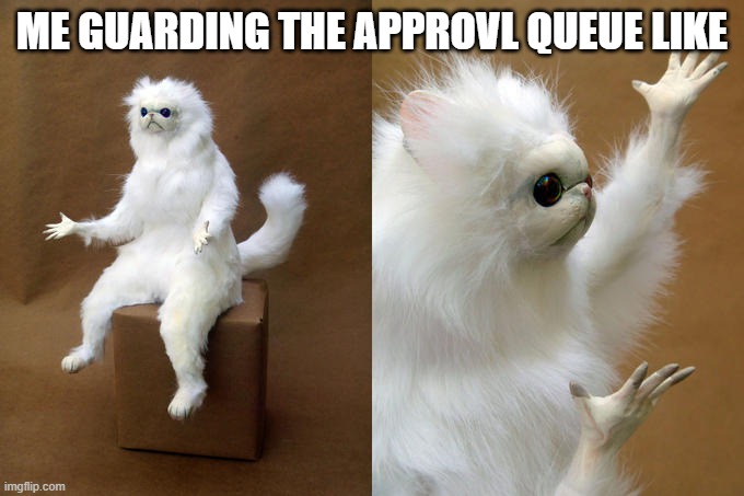 i saw nothing, literally | ME GUARDING THE APPROVL QUEUE LIKE | image tagged in memes,persian cat room guardian | made w/ Imgflip meme maker
