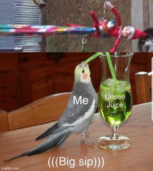 I don't even know | image tagged in unsee juice,birds,animals,elf on the shelf,weird | made w/ Imgflip meme maker