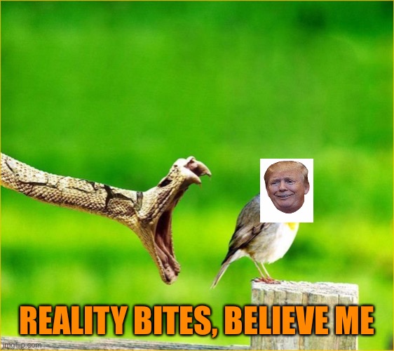 Snake Reality Bites | REALITY BITES, BELIEVE ME | image tagged in snake reality bites | made w/ Imgflip meme maker