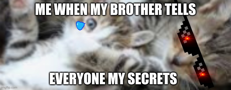 Its true | ME WHEN MY BROTHER TELLS; EVERYONE MY SECRETS | image tagged in ooooof | made w/ Imgflip meme maker