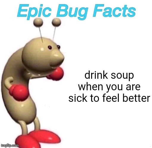 Epic Bug Facts | drink soup when you are sick to feel better | image tagged in epic bug facts | made w/ Imgflip meme maker