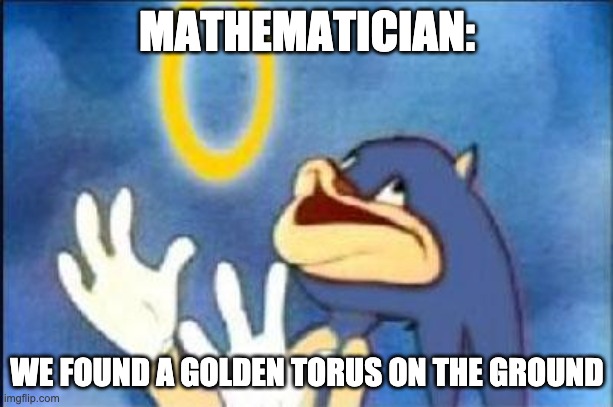 Sonic derp | MATHEMATICIAN: WE FOUND A GOLDEN TORUS ON THE GROUND | image tagged in sonic derp | made w/ Imgflip meme maker