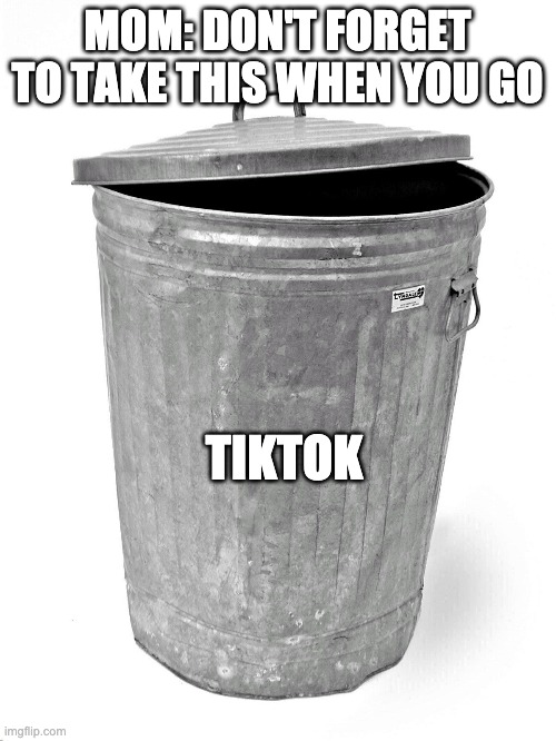 Trash Can | MOM: DON'T FORGET TO TAKE THIS WHEN YOU GO TIKTOK | image tagged in trash can | made w/ Imgflip meme maker