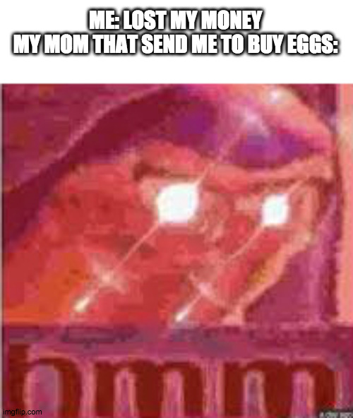 My mom and Me | ME: LOST MY MONEY

MY MOM THAT SEND ME TO BUY EGGS: | image tagged in hmm | made w/ Imgflip meme maker