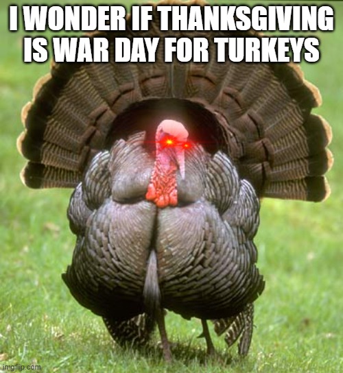 Turkey Meme |  I WONDER IF THANKSGIVING IS WAR DAY FOR TURKEYS | image tagged in memes,turkey | made w/ Imgflip meme maker