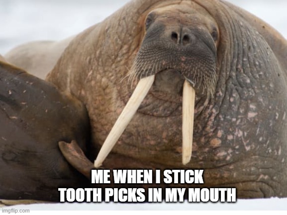 tooth pick mouth | ME WHEN I STICK TOOTH PICKS IN MY MOUTH | image tagged in mouth | made w/ Imgflip meme maker