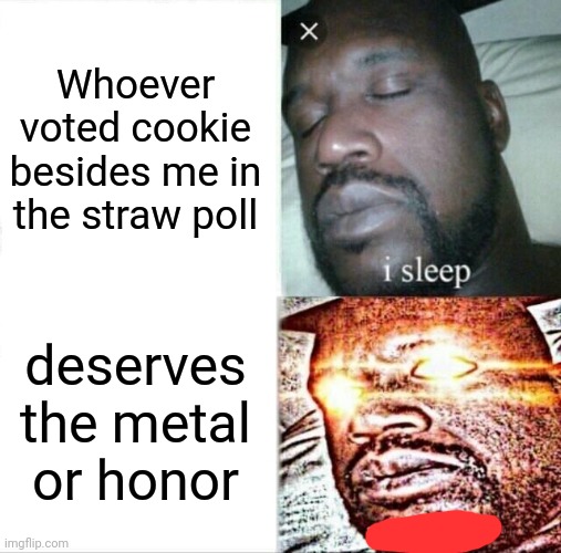 Sleeping Shaq | Whoever voted cookie besides me in the straw poll; deserves the metal or honor | image tagged in memes,sleeping shaq | made w/ Imgflip meme maker