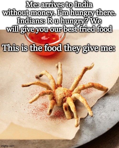 Me: arrives to India without money. I'm hungry there.
Indians: R u hungry? We will give you our best fried food; This is the food they give me: | made w/ Imgflip meme maker