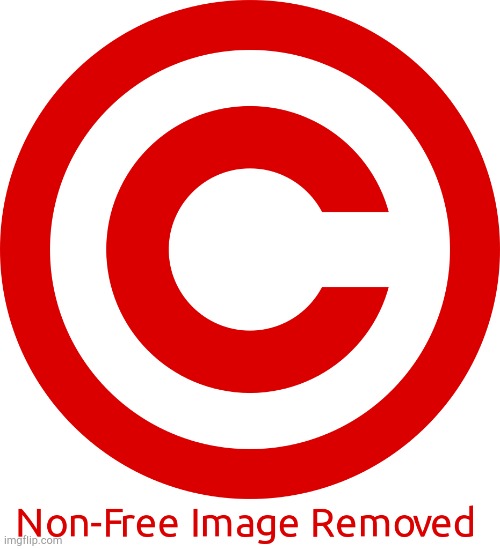 Non Free image removed | image tagged in non free image removed | made w/ Imgflip meme maker