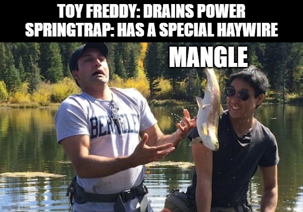 FNaF AR Mangle Meme | TOY FREDDY: DRAINS POWER
SPRINGTRAP: HAS A SPECIAL HAYWIRE; MANGLE | image tagged in fnaf ar,mangle,springtrap,toy freddy | made w/ Imgflip meme maker