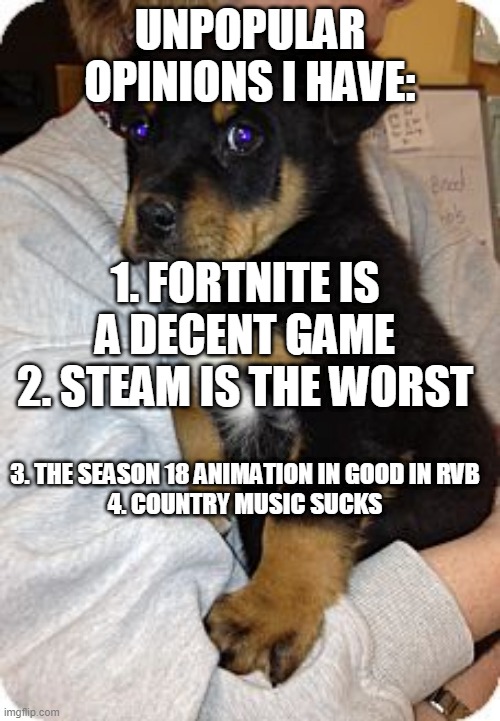UNPOPULAR OPINIONS I HAVE:; 1. FORTNITE IS A DECENT GAME
2. STEAM IS THE WORST; 3. THE SEASON 18 ANIMATION IN GOOD IN RVB
4. COUNTRY MUSIC SUCKS | made w/ Imgflip meme maker