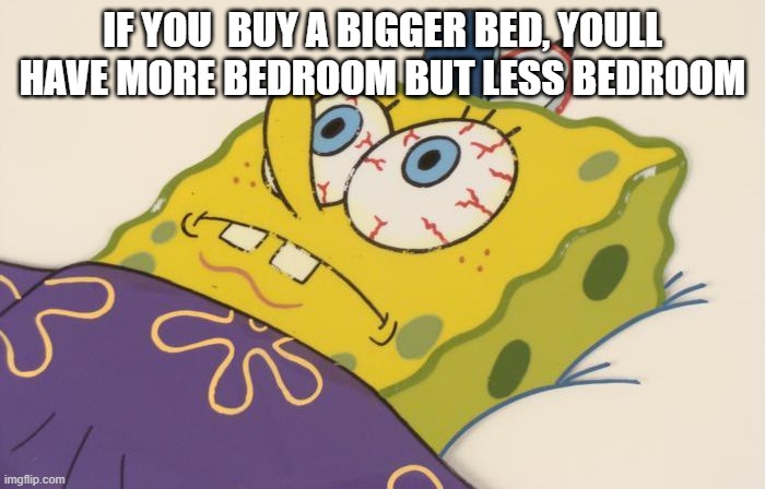 Cant sleep | IF YOU  BUY A BIGGER BED, YOULL HAVE MORE BEDROOM BUT LESS BEDROOM | image tagged in cant sleep | made w/ Imgflip meme maker