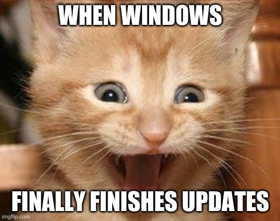 JK windows never finishes updates | WHEN WINDOWS; FINALLY FINISHES UPDATES | image tagged in memes,excited cat | made w/ Imgflip meme maker
